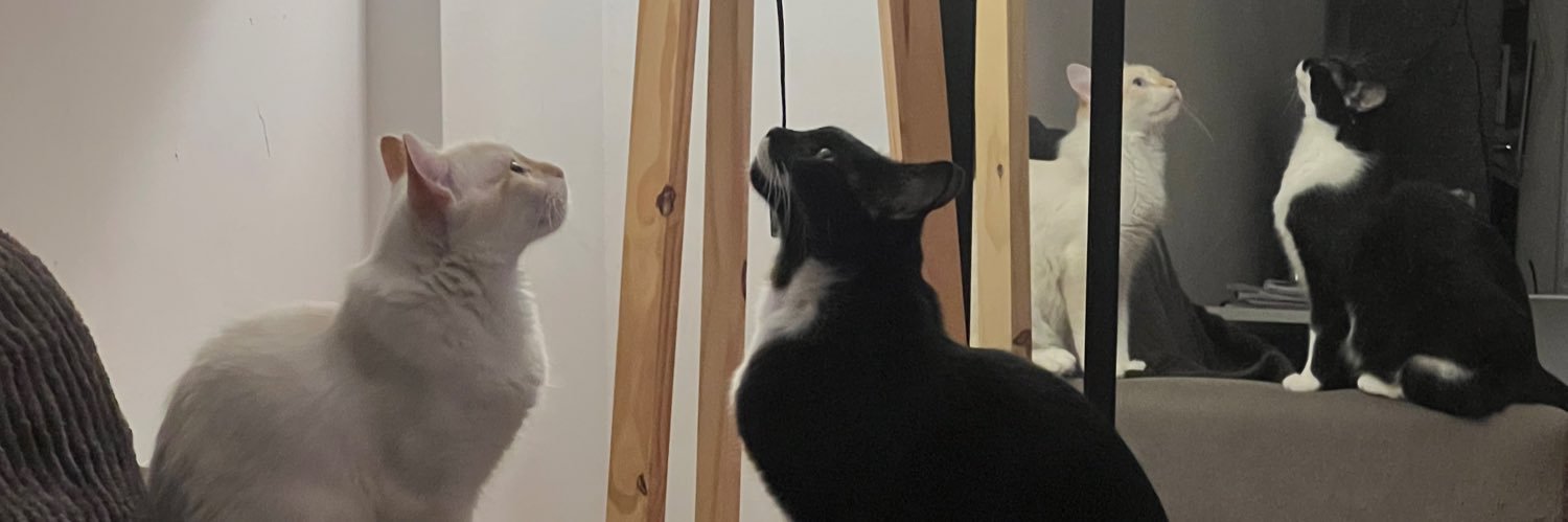 𝐅𝐥𝐢𝐠𝐡𝐭 𝟗𝟓𝟔 banner