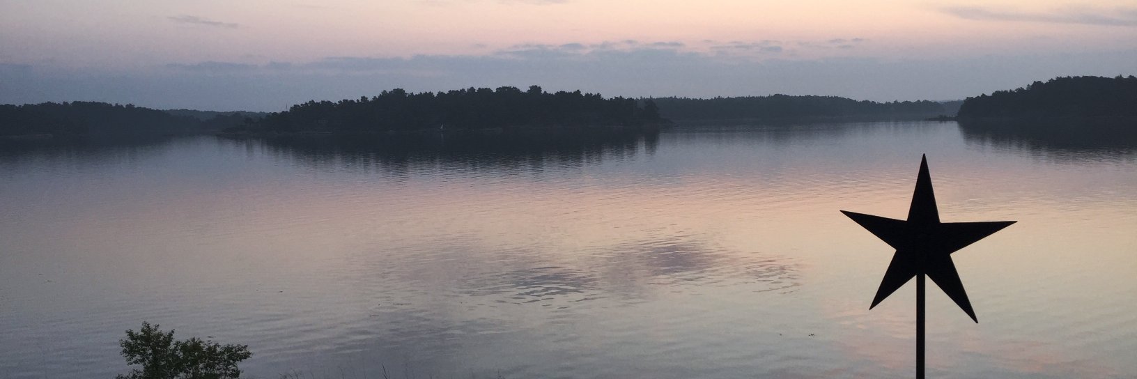 Sofia Calltorp banner