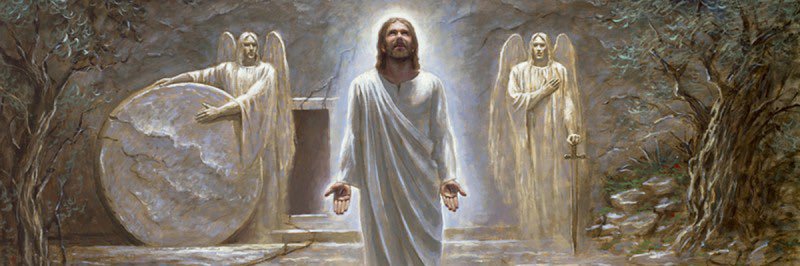 Reinaldo Sánchez banner