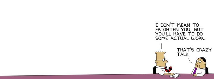 fengloxa's profile banner image