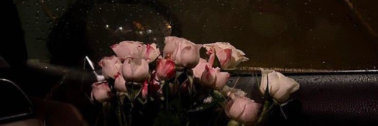 NourJabeer's profile banner image