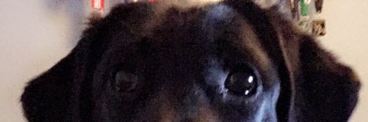 DanielLevert88's profile banner image