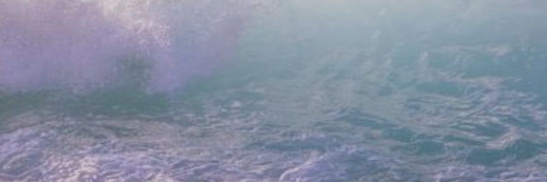 Aiitorca's profile banner image