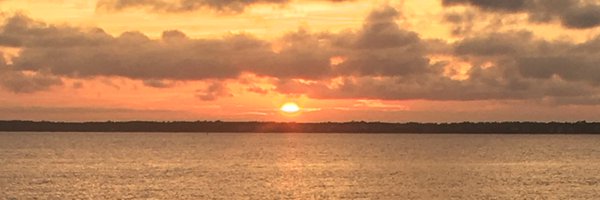TylerInge Profile Banner