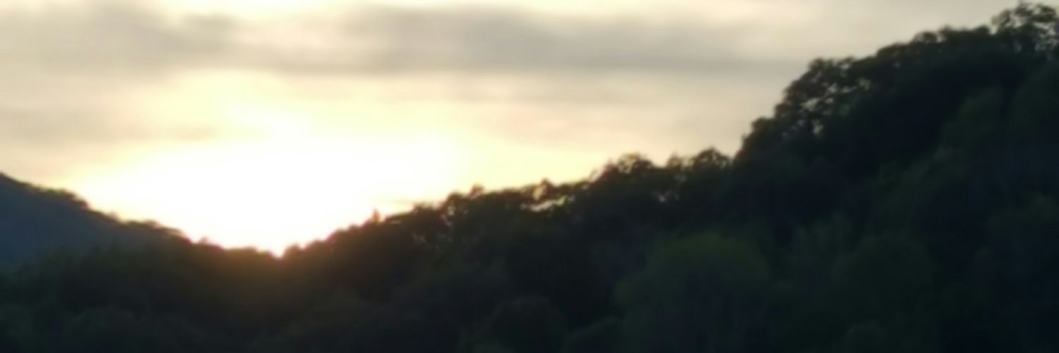 StacyRParks's profile banner image