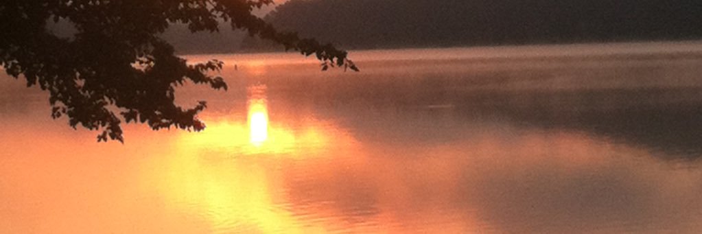 schatzp1's profile banner image