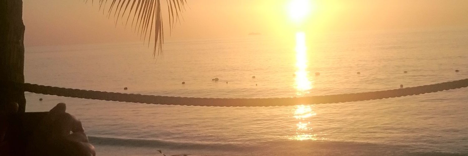 VirginiaMonro1's profile banner image