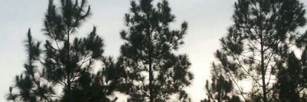 farachman Profile Banner