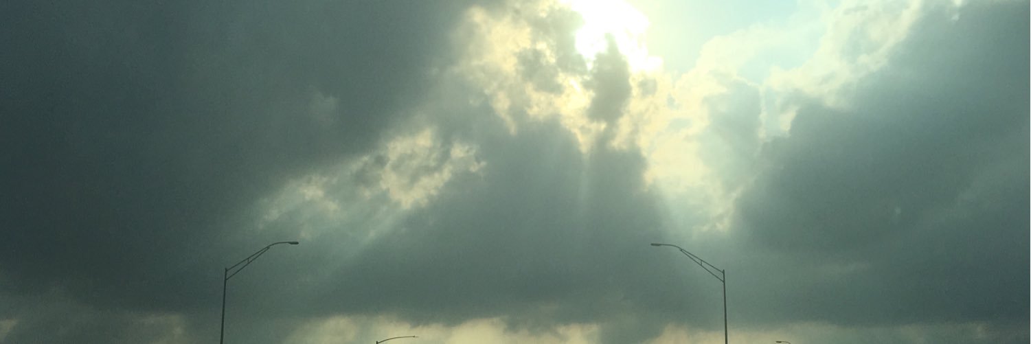 WhitneyWolf's profile banner image