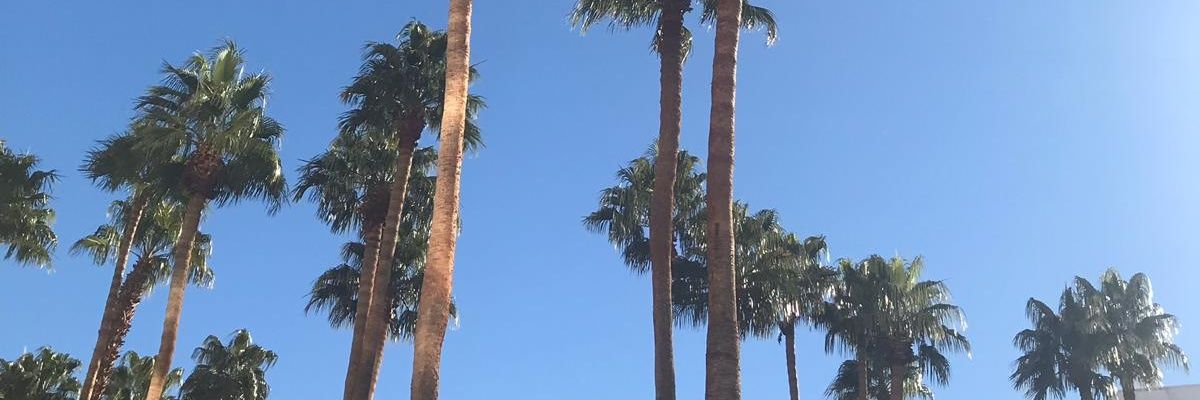 Alisonh4483's profile banner image