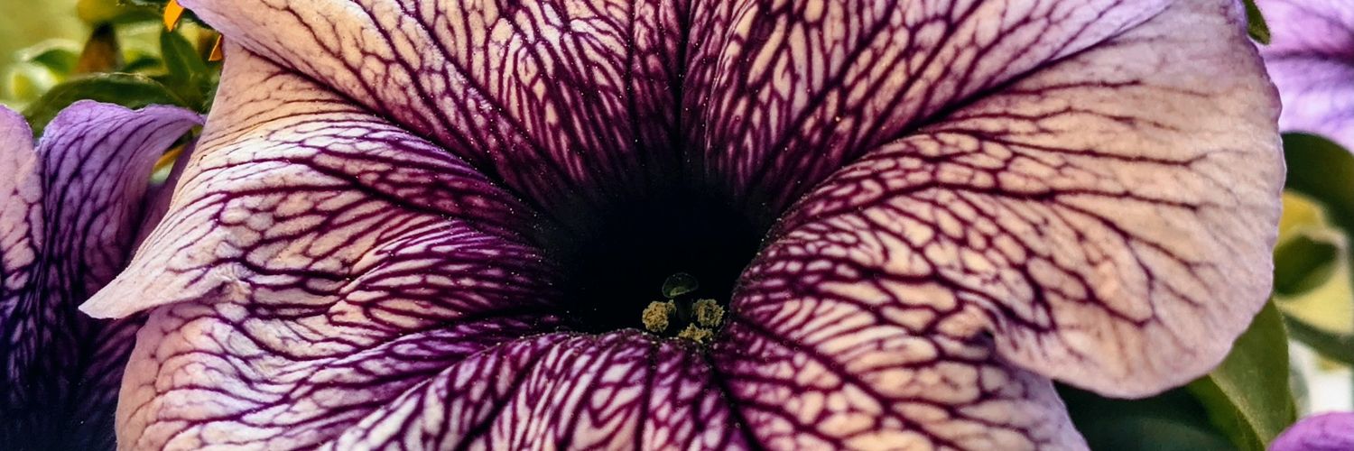 ion_dd's profile banner image