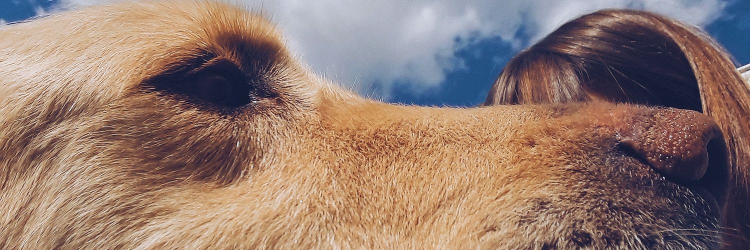 Lu_citt's profile banner image