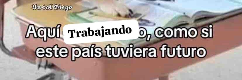 MariFer 🎀🐕 banner