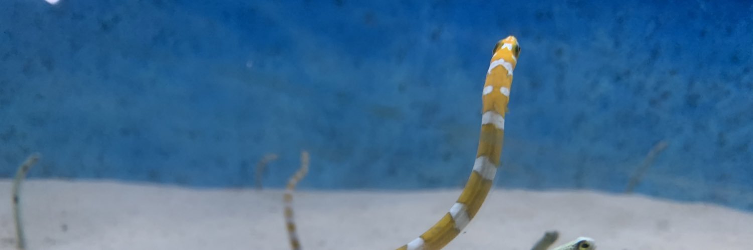 yss5g's profile banner image
