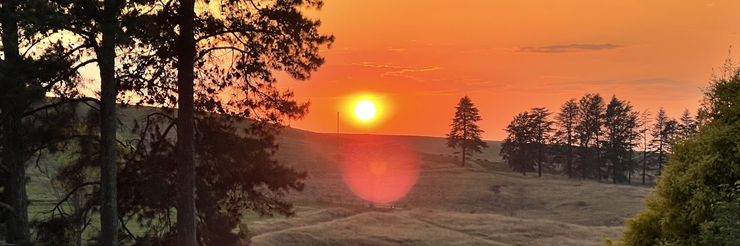 NicChisholm's profile banner image