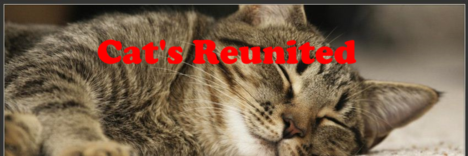 cats_reunited_leeds Profile Banner
