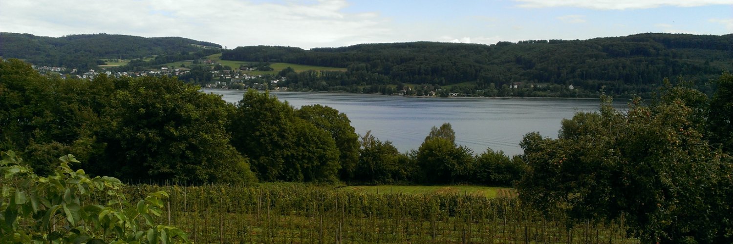 Simon Cabotse banner