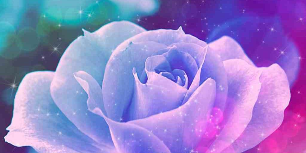 ♡ banner