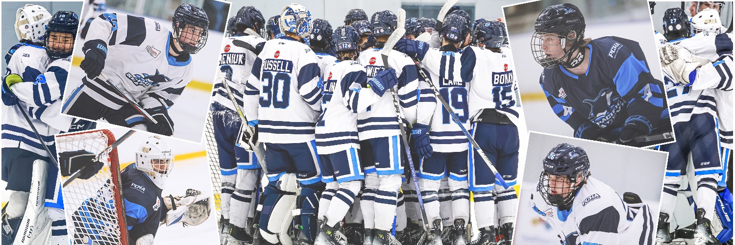 PCHA Sea Devils banner