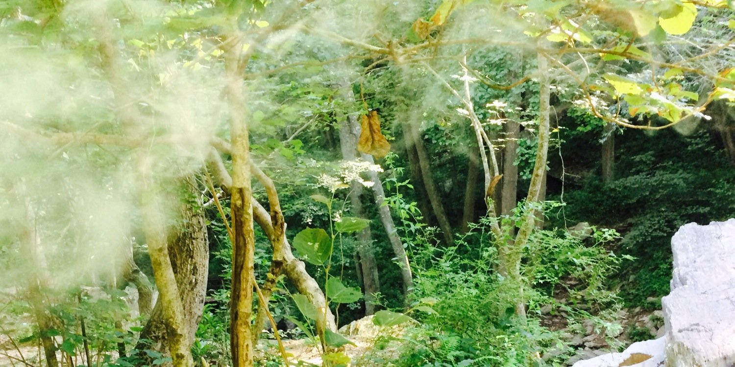 TreSirmontina's profile banner image
