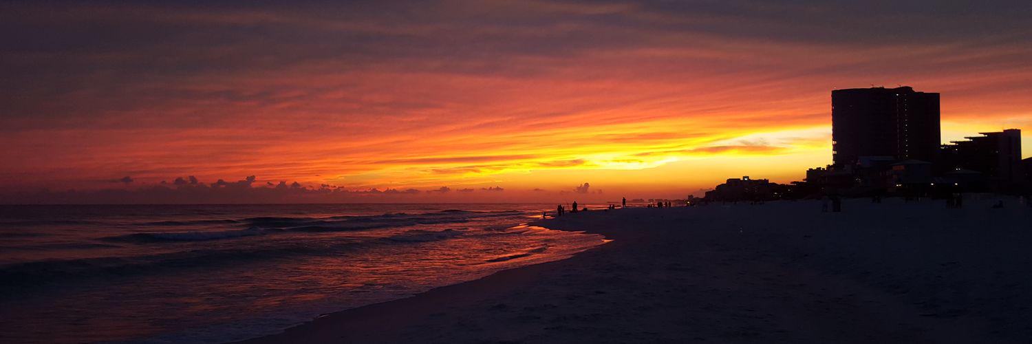 SillsEmily's profile banner image