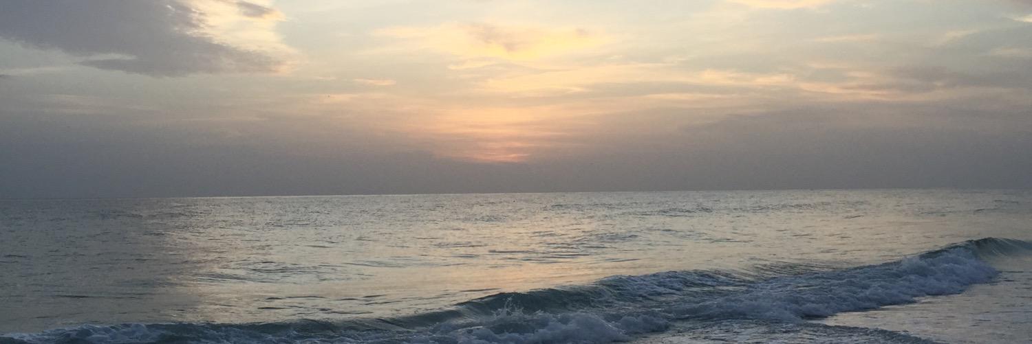 ThatQRScalated's profile banner image