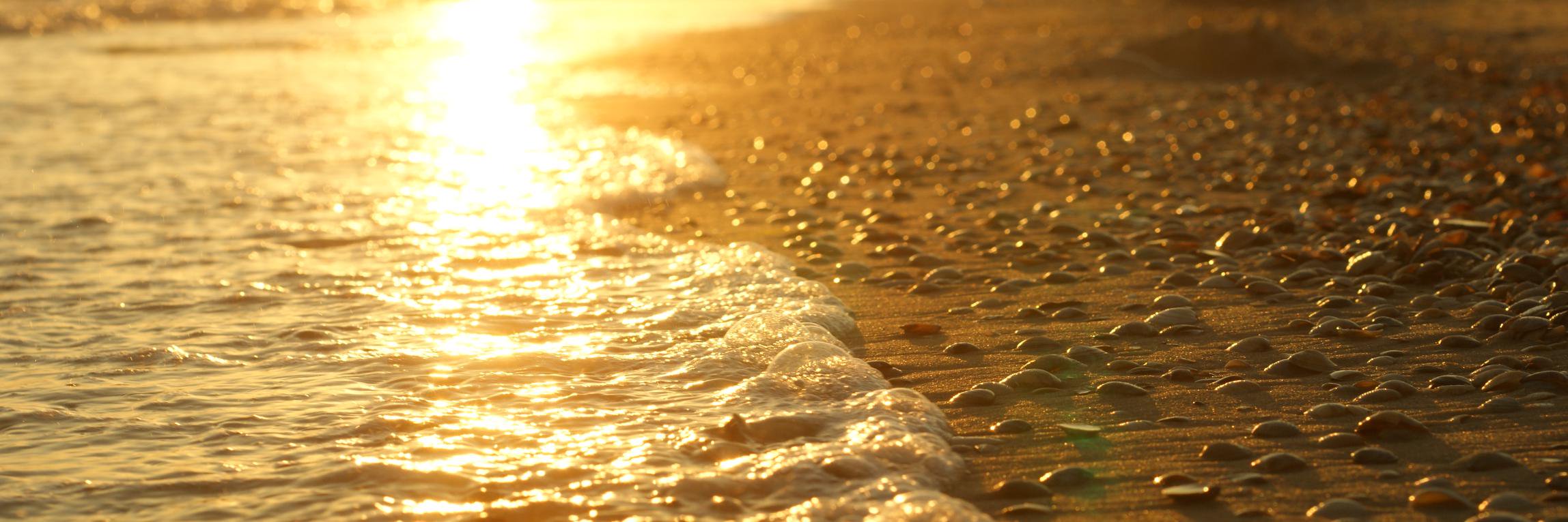 AInvites's profile banner image