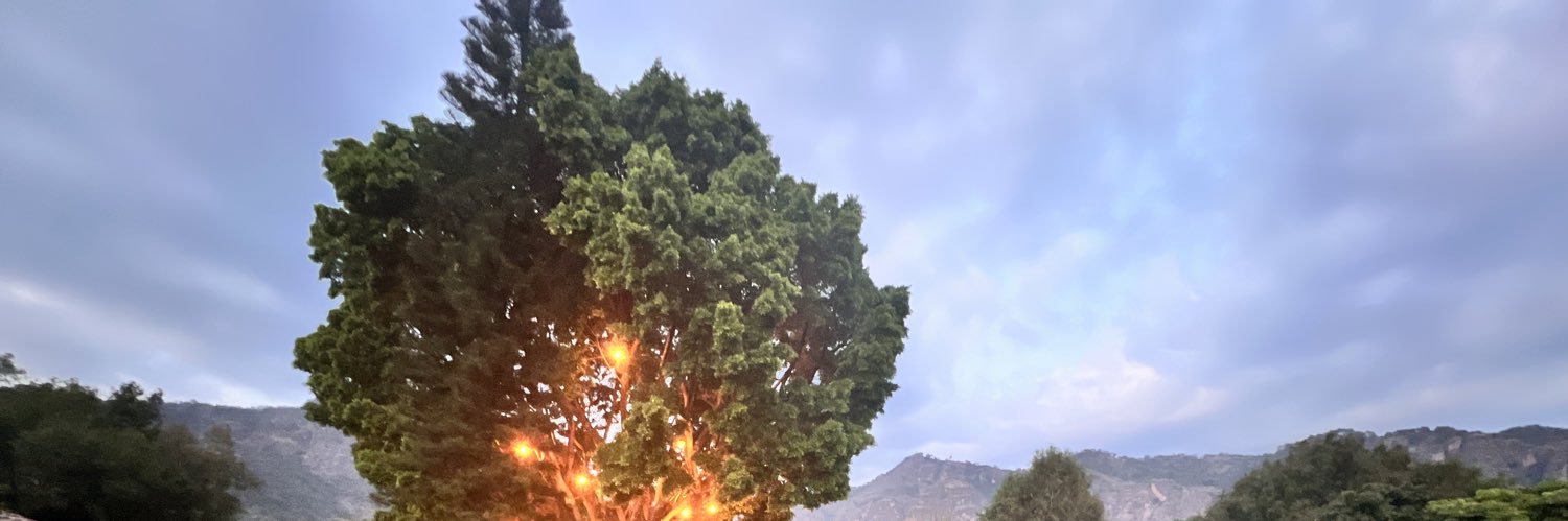 torstenblack's profile banner image