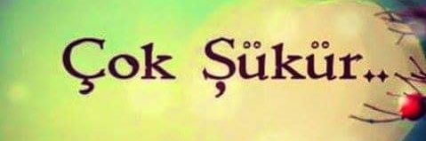 nuran_trpc's profile banner image