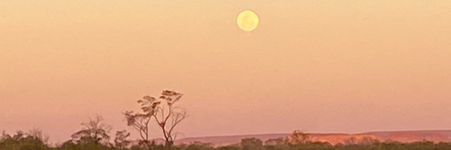 hayleywapper906's profile banner image