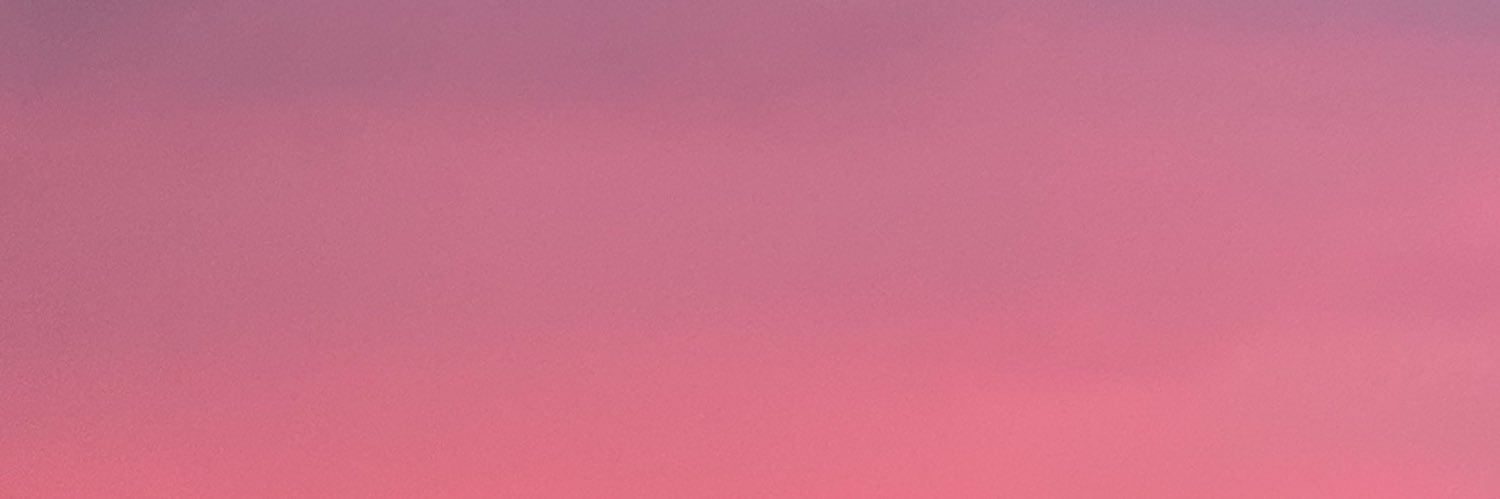 Lili banner