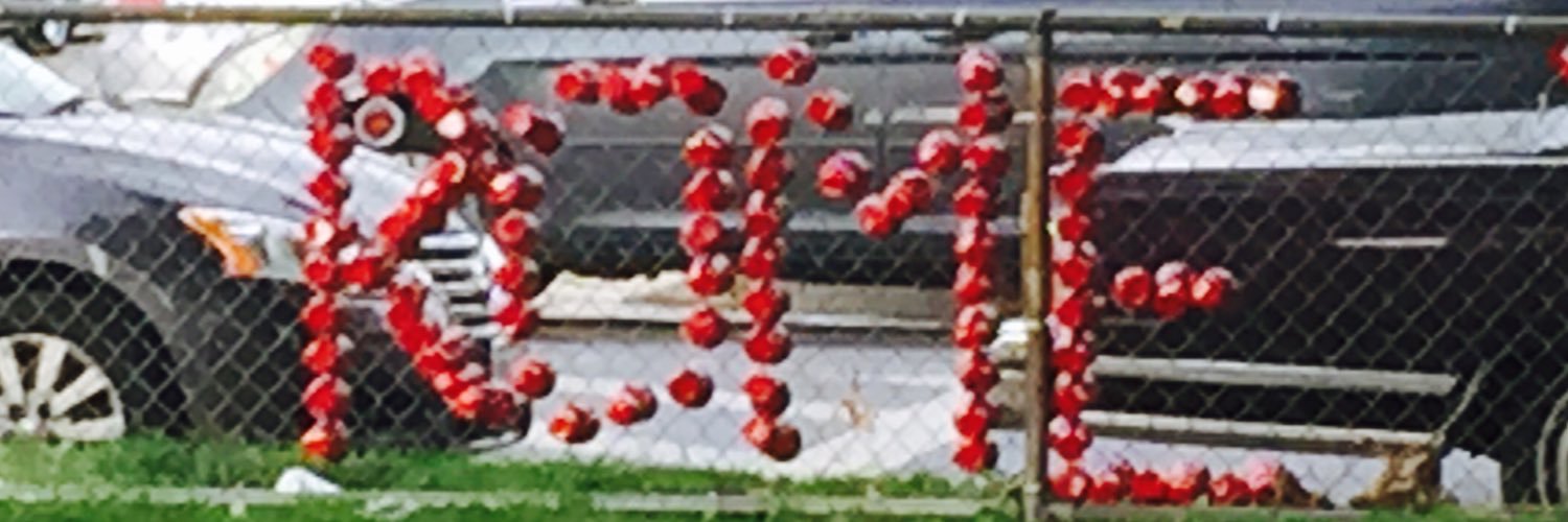 P Litty…'s banner