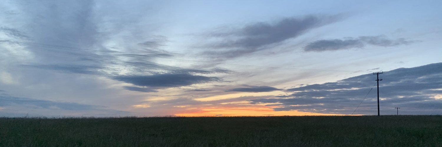 izzyhorrocks's profile banner image