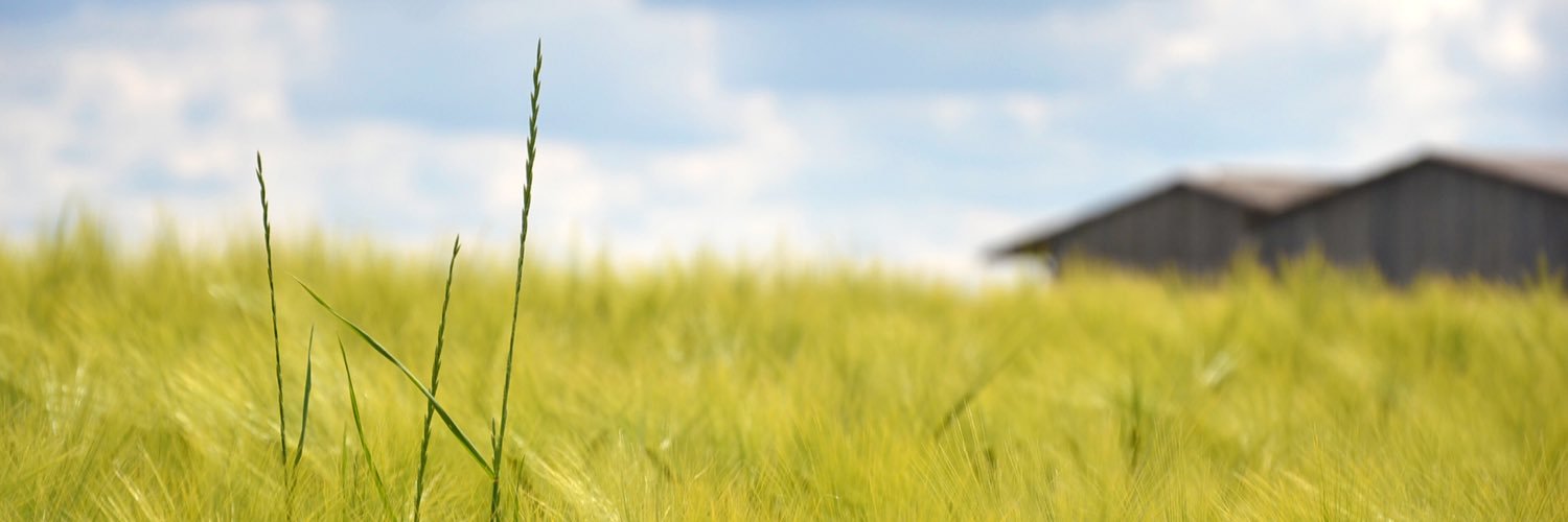 GCoutey's profile banner image