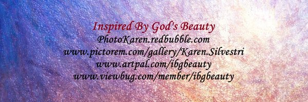 Karen Silvestri Profile Banner
