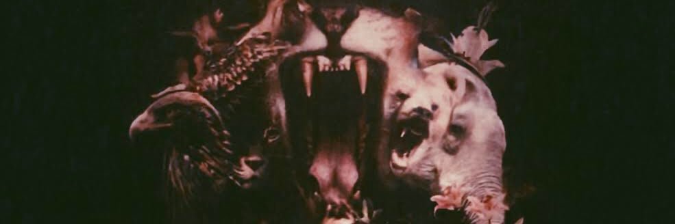 lavonburgo's profile banner image