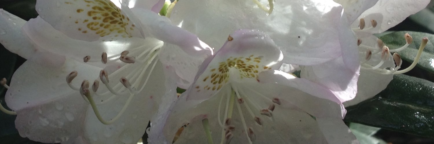 nick_aikman's profile banner image