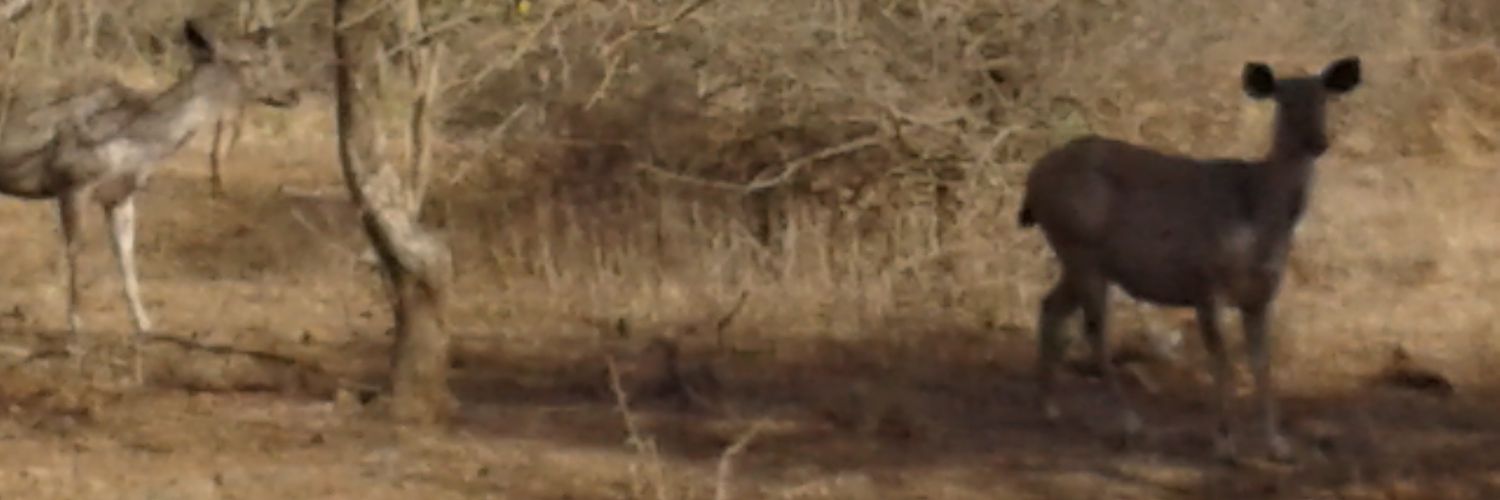 sajeetkm's profile banner image