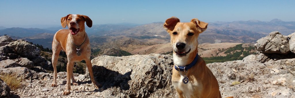 Christian Xavier 🍣 Bluesky 🦋 banner