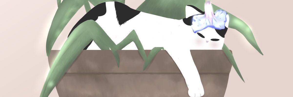 NaniTeewee's profile banner image