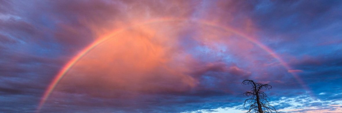 TorryClark's profile banner image