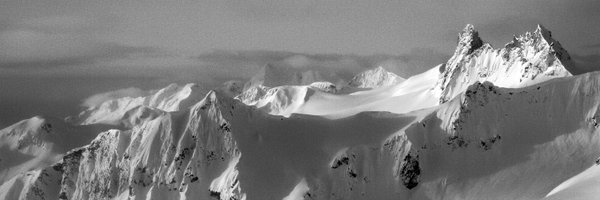 Level1 Profile Banner