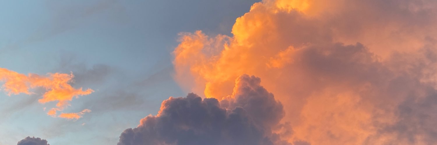 RevesOcean Network banner