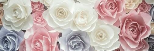 _NoemieS's profile banner image