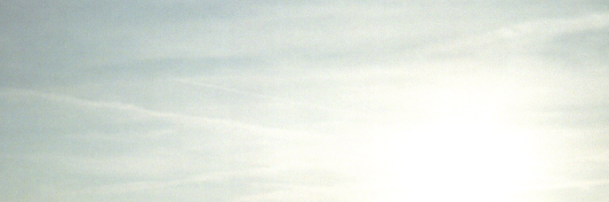 seeseeCsea's profile banner image