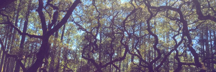 kristamayy's profile banner image