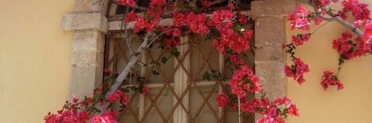 Borssaa's profile banner image
