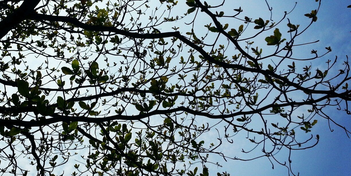 la_dyms's profile banner image
