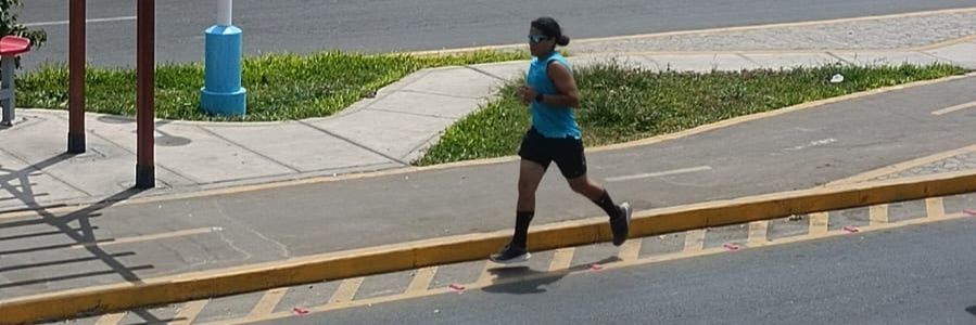 Fernando Alonso banner