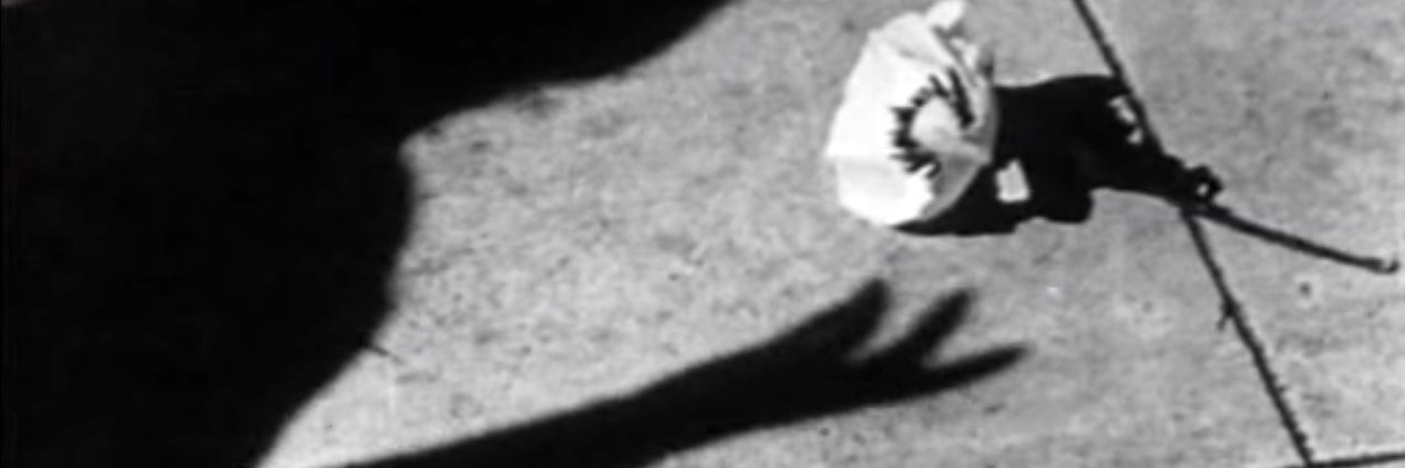 Giulia Ponzano banner